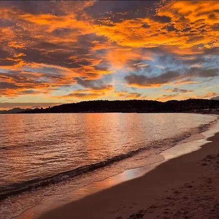 Domaine Juan Flore *