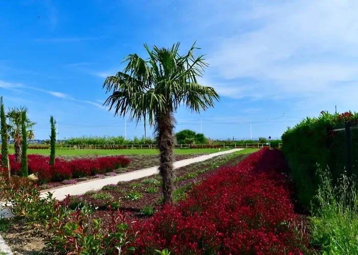 Apartamento Domaine Juan Flore